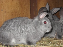 Malý výlet za zvířátky