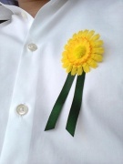 Český den proti rakovině 2013