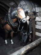 Ostrava Landek + rozhledna