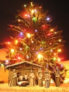 Vánoční Pstruží