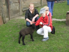 Jarní vycházka za ovečkami