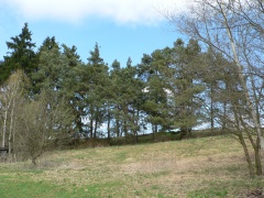 Olbram volá o pomoc!