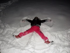 Sněhové odpoledne Šedých myšek